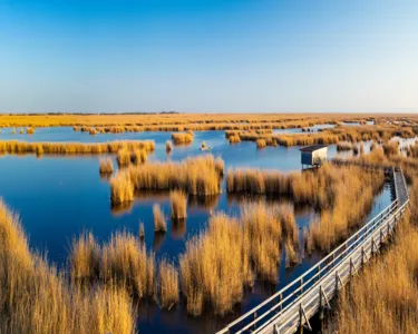 Der Neusiedlersee im Burgenland