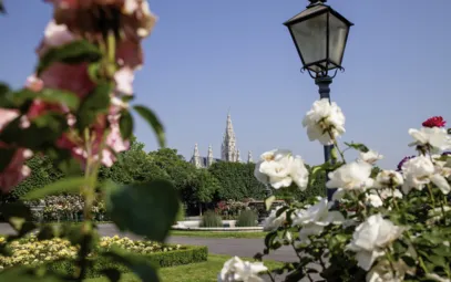 Das Rathaus in Wien